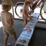phoca_thumb_m_pohdkov les 53 Fotogalerie